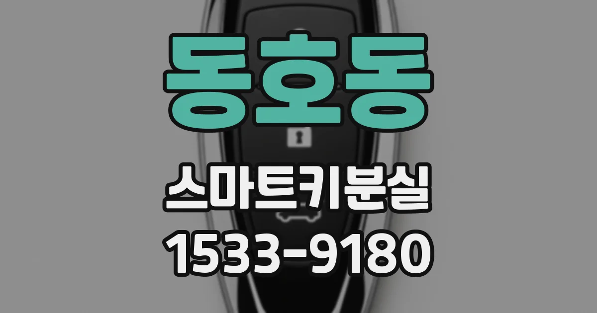 동호동 스마트키분실