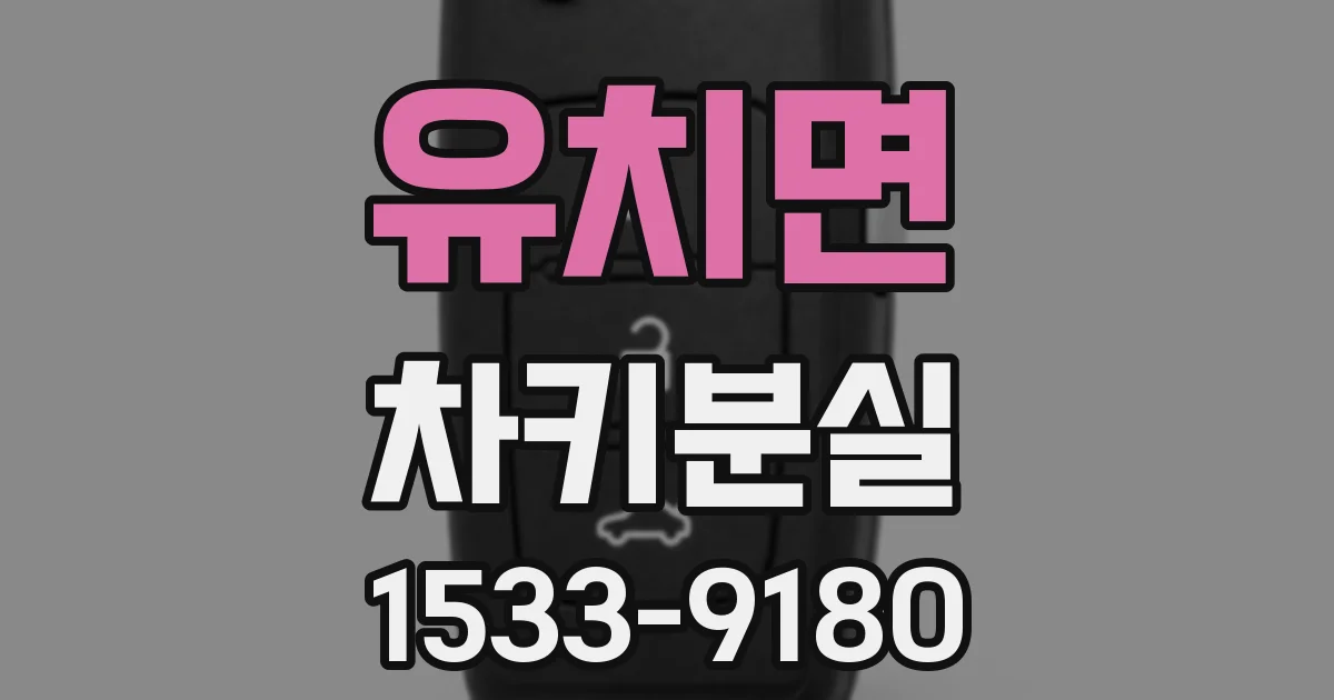 유치면 차키분실