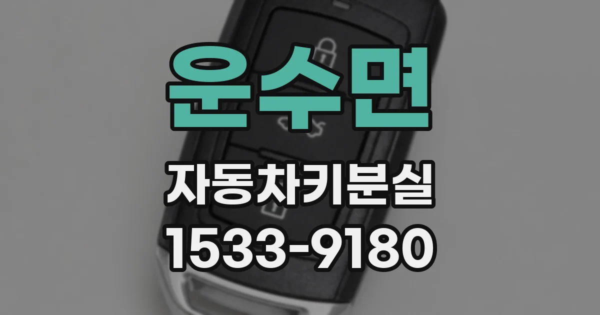운수면 자동차키분실
