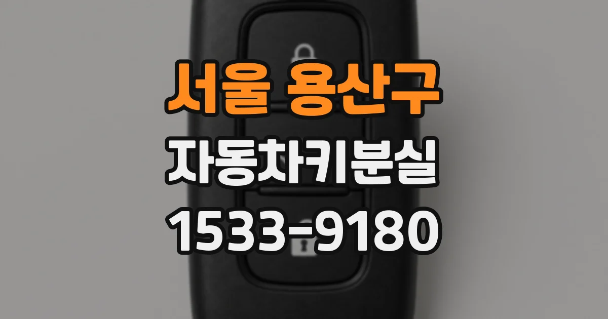서울 용산구 자동차키분실