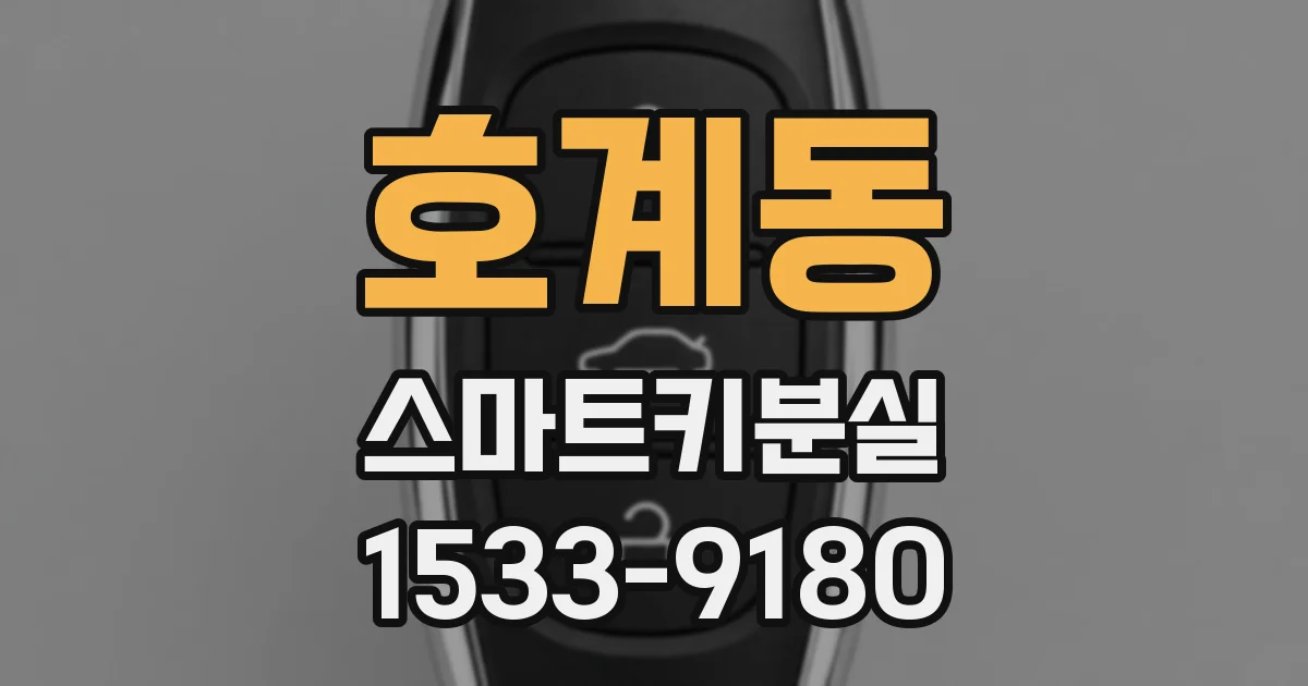 호계동 스마트키분실