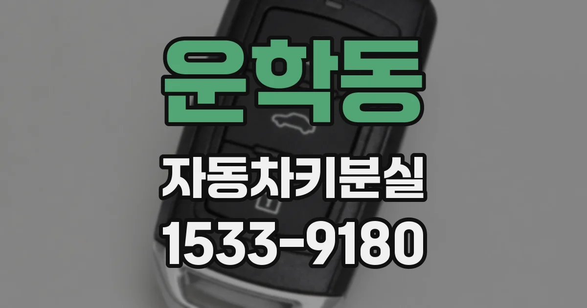 운학동 자동차키분실