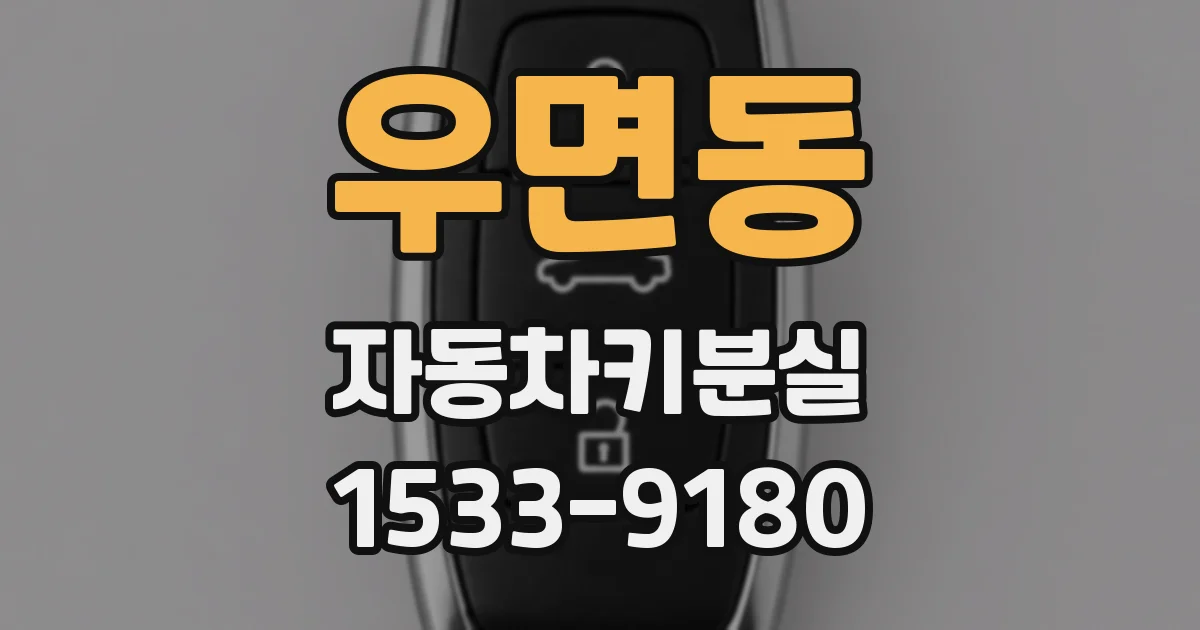 우면동 자동차키분실