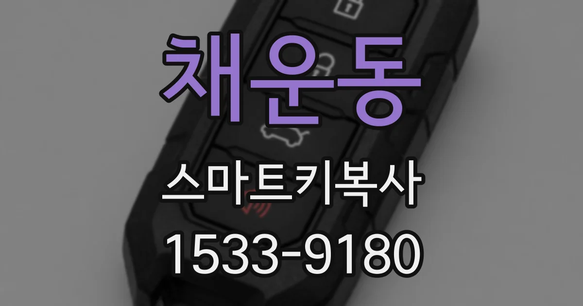 채운동 스마트키복사