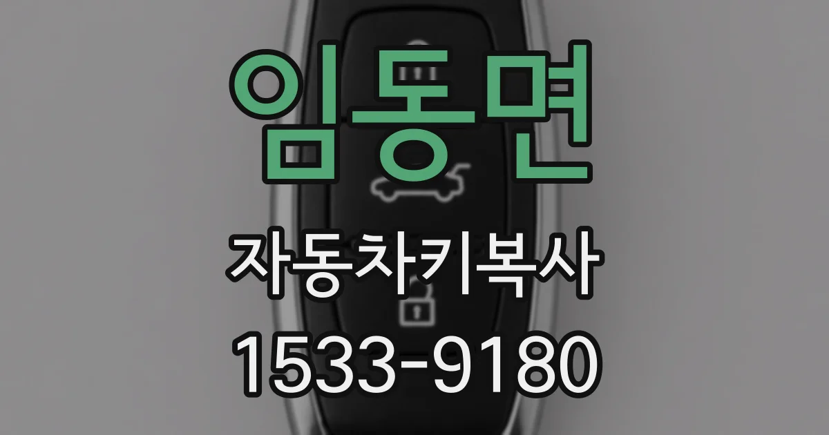 임동면 자동차키복사
