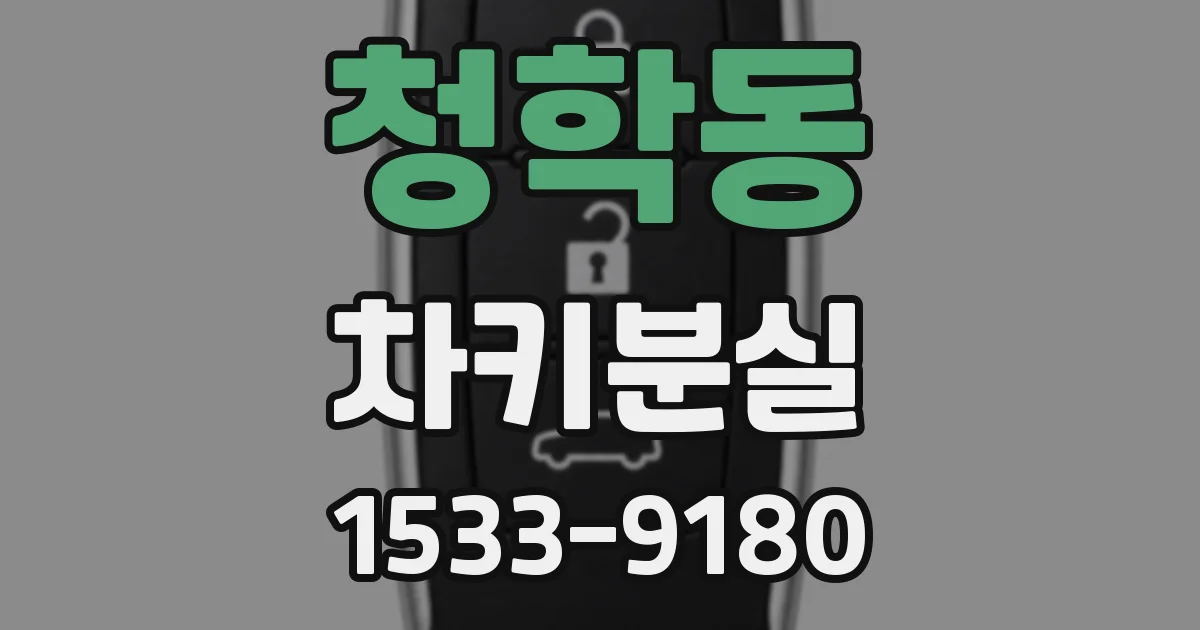 청학동 차키분실