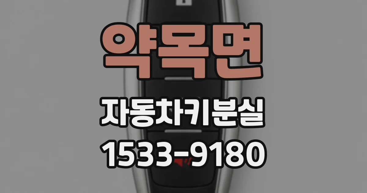 약목면 자동차키분실