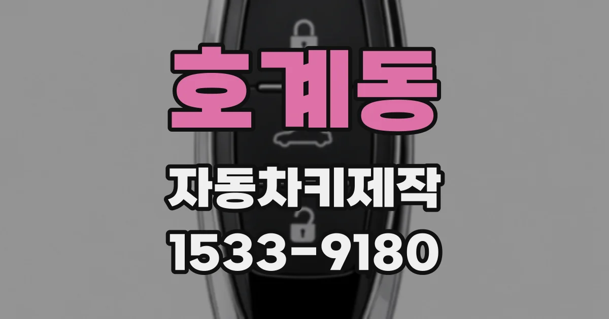 호계동 자동차키제작
