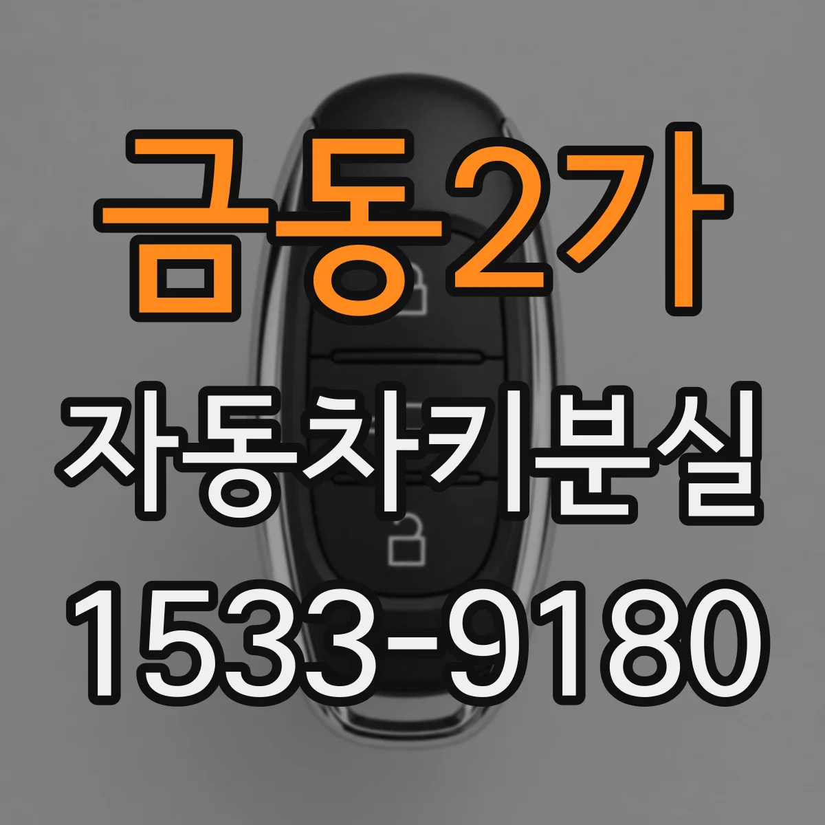 금동2가 자동차키분실