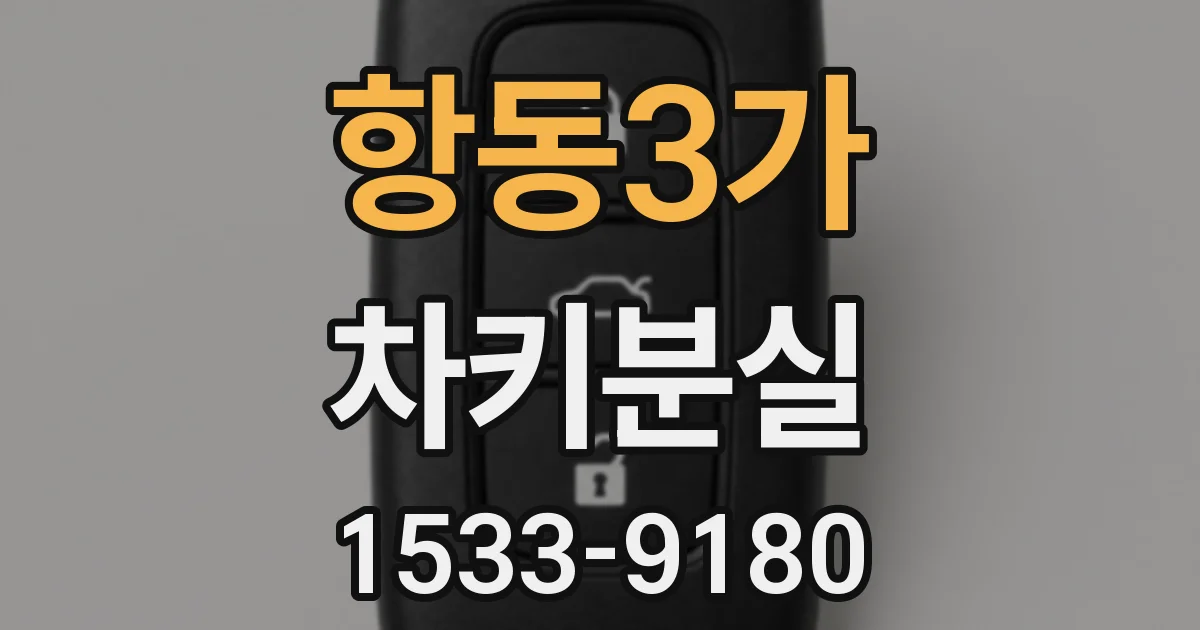 항동3가 차키분실