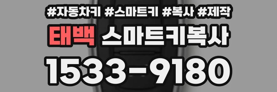 태백 스마트키복사