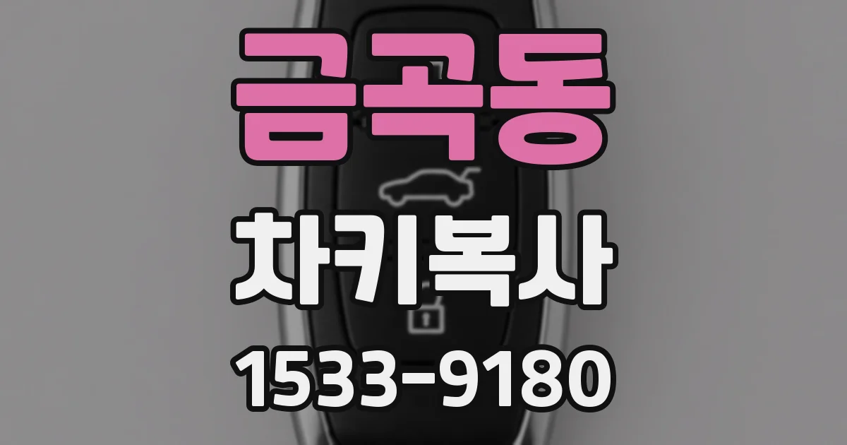 금곡동 차키복사