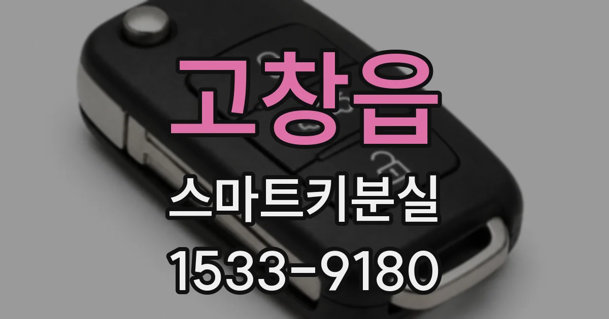 고창읍 스마트키분실