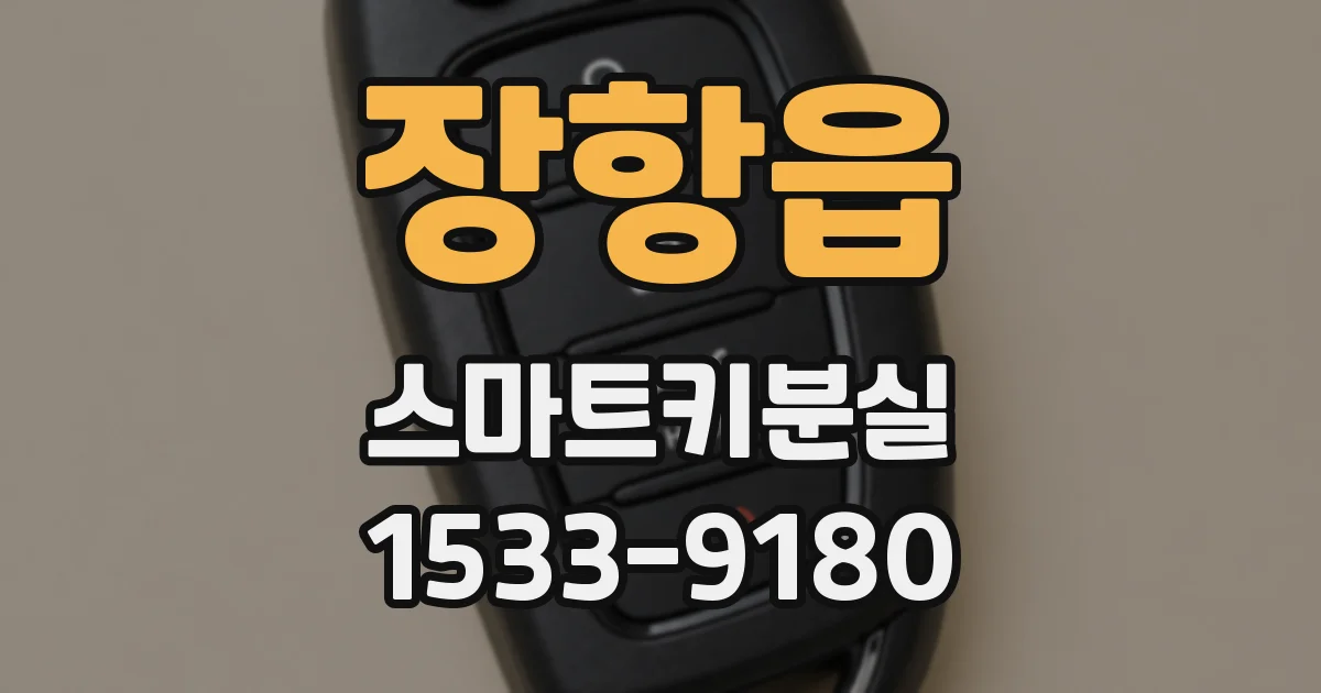 장항읍 스마트키분실
