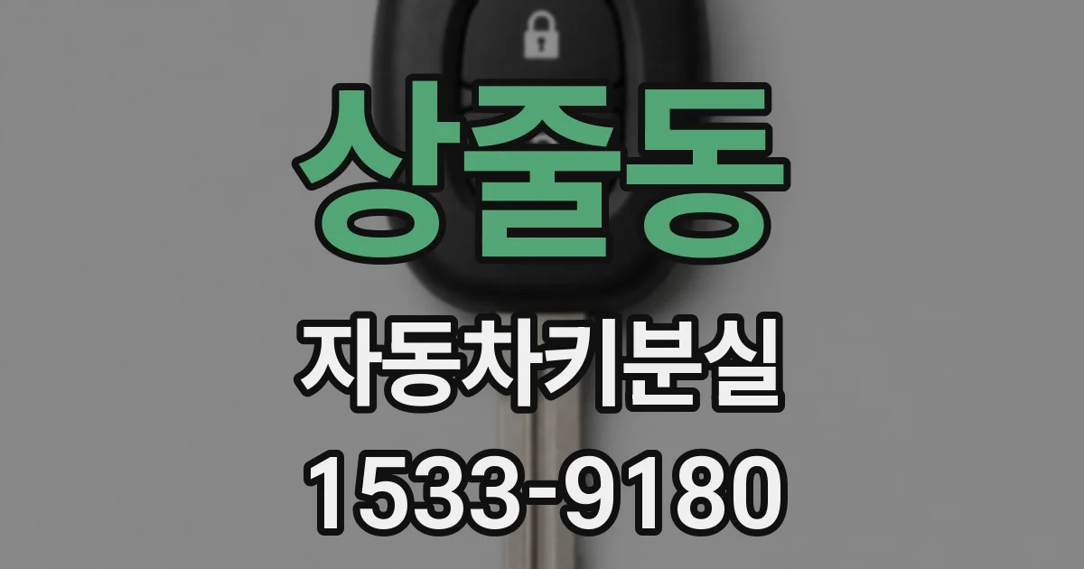 상줄동 자동차키분실