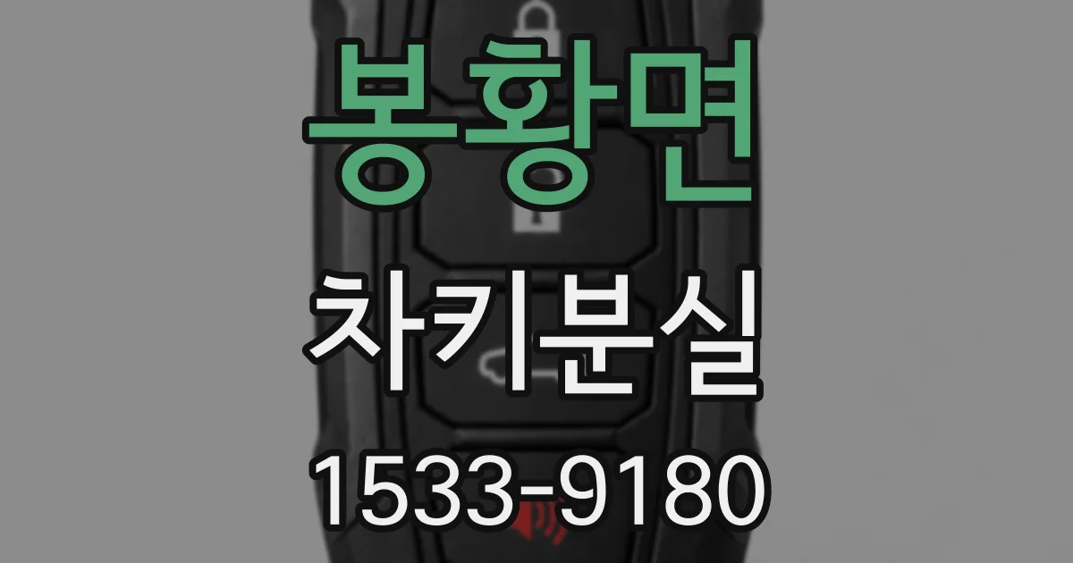 봉황면 차키분실