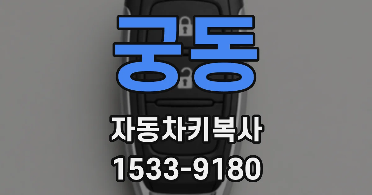 궁동 자동차키복사