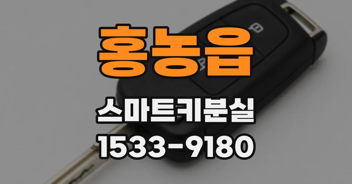 홍농읍 스마트키분실