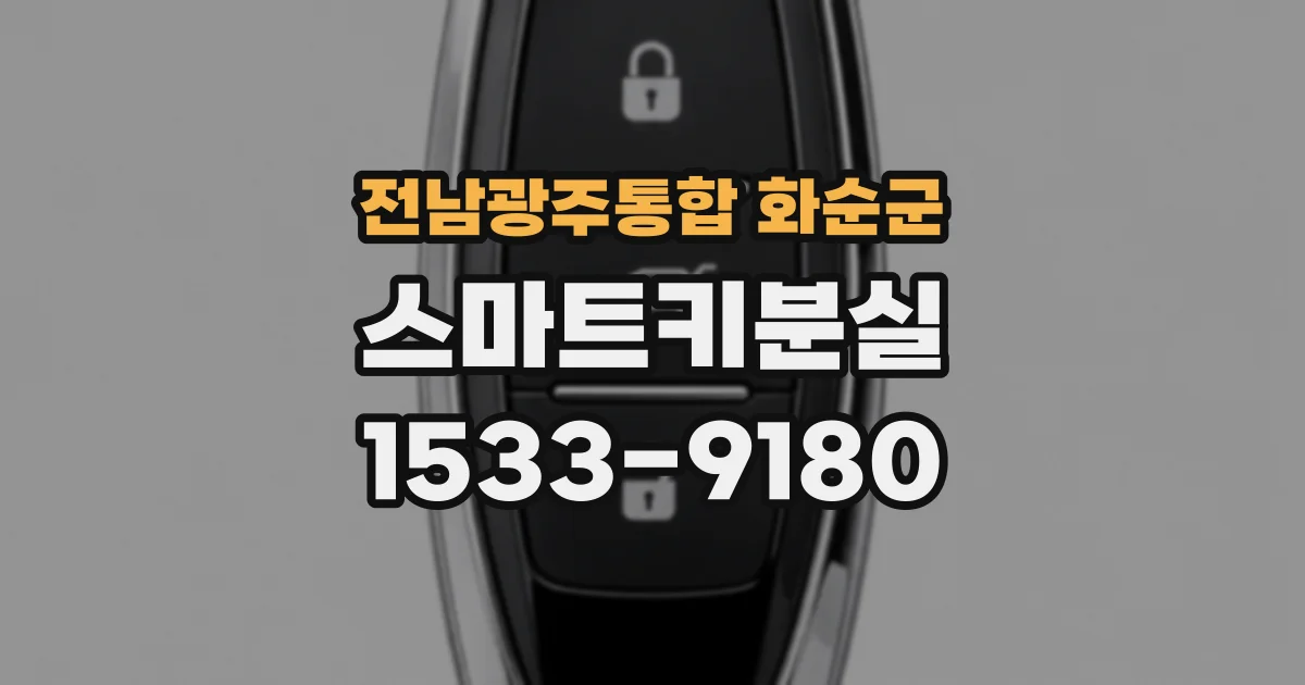 전남광주통합 화순군 스마트키분실