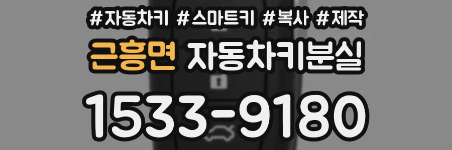 근흥면 자동차키분실