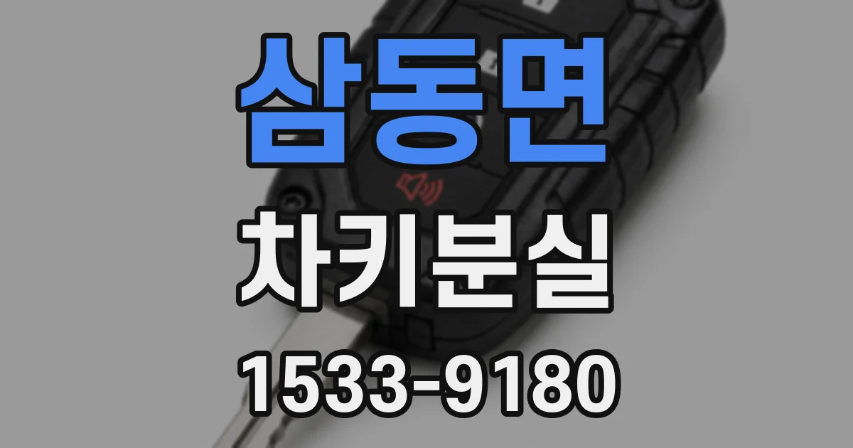 삼동면 차키분실