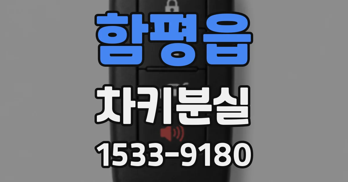 함평읍 차키분실