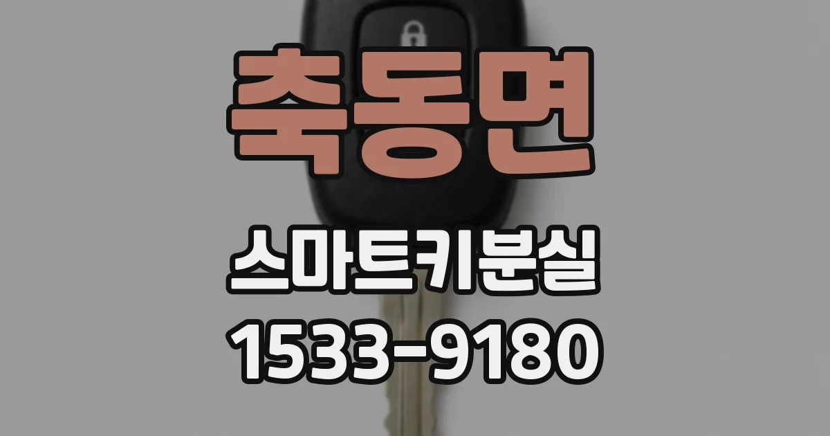 축동면 스마트키분실