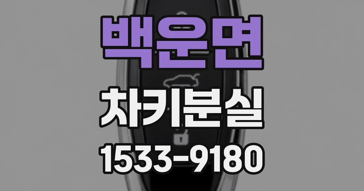 백운면 차키분실
