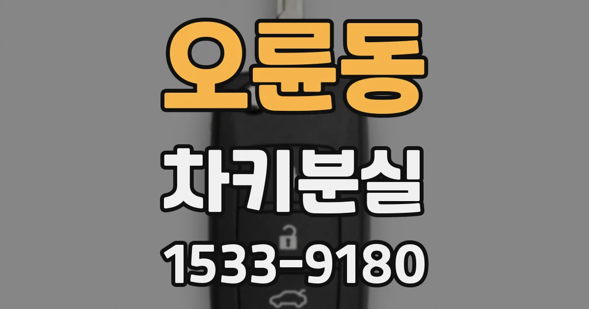 오륜동 차키분실