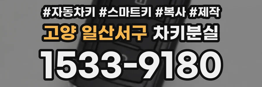 고양 일산서구 차키분실