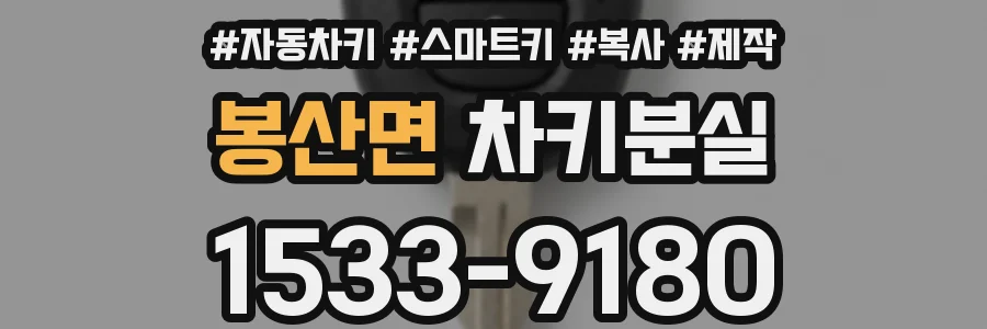 봉산면 차키분실