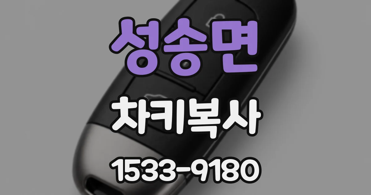 성송면 차키복사