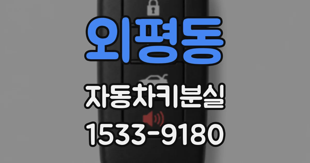 외평동 자동차키분실