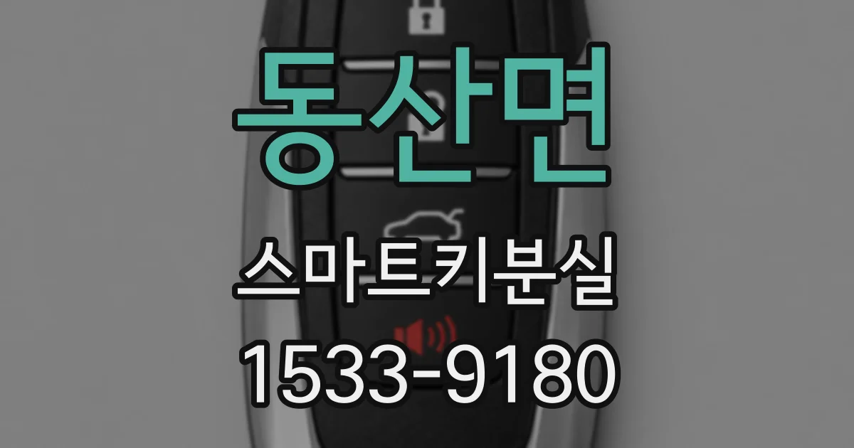 동산면 스마트키분실