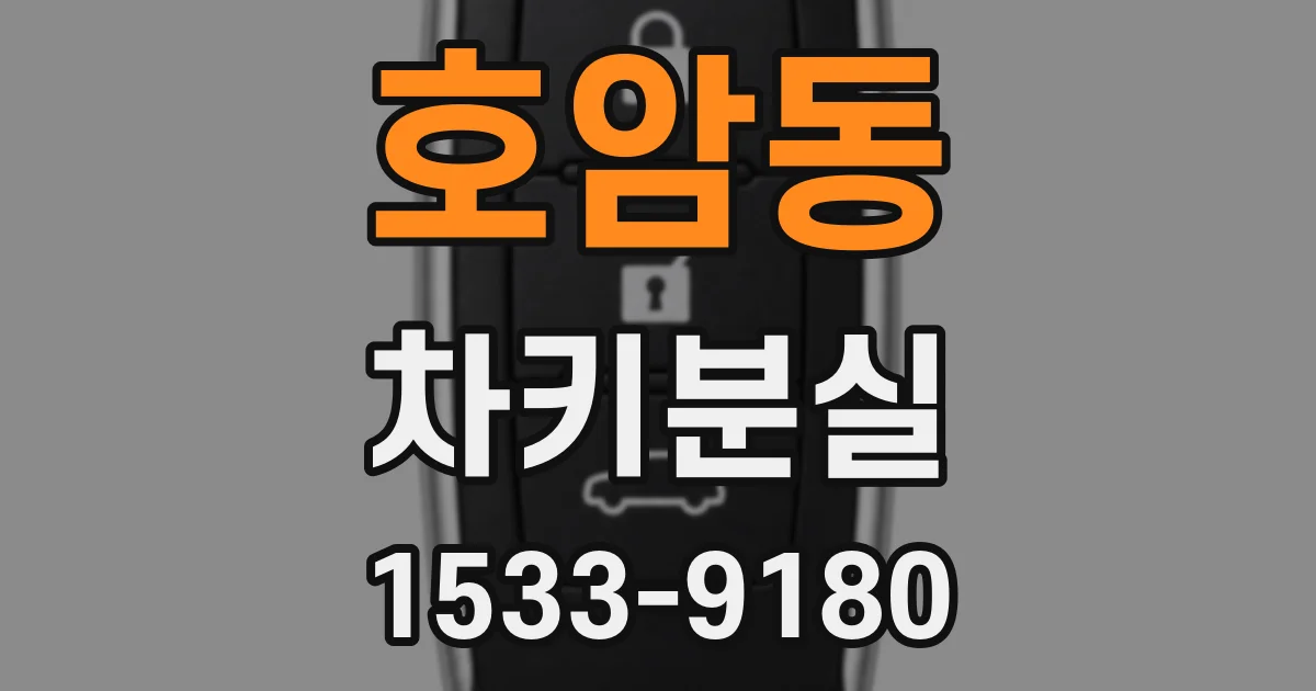 호암동 차키분실