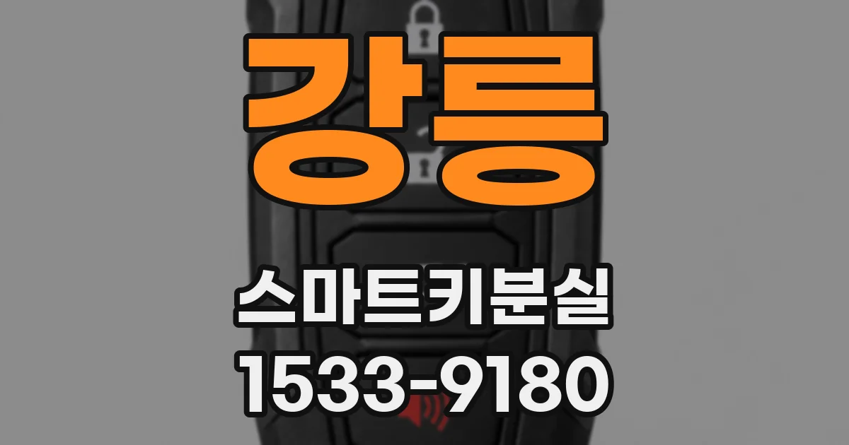강릉 스마트키분실