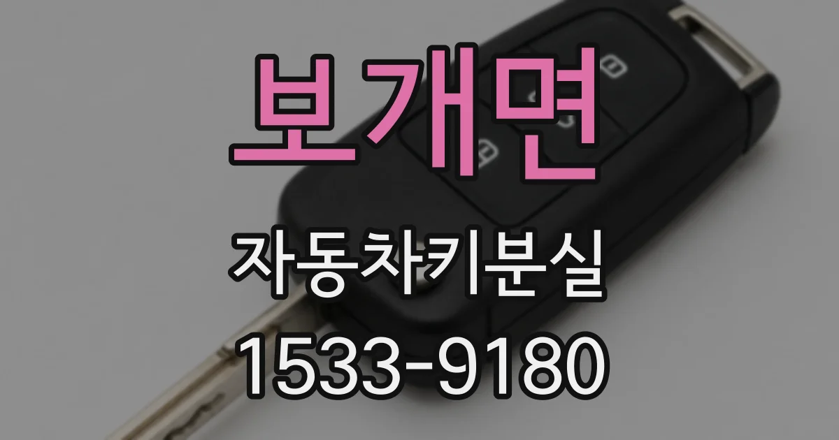 보개면 자동차키분실