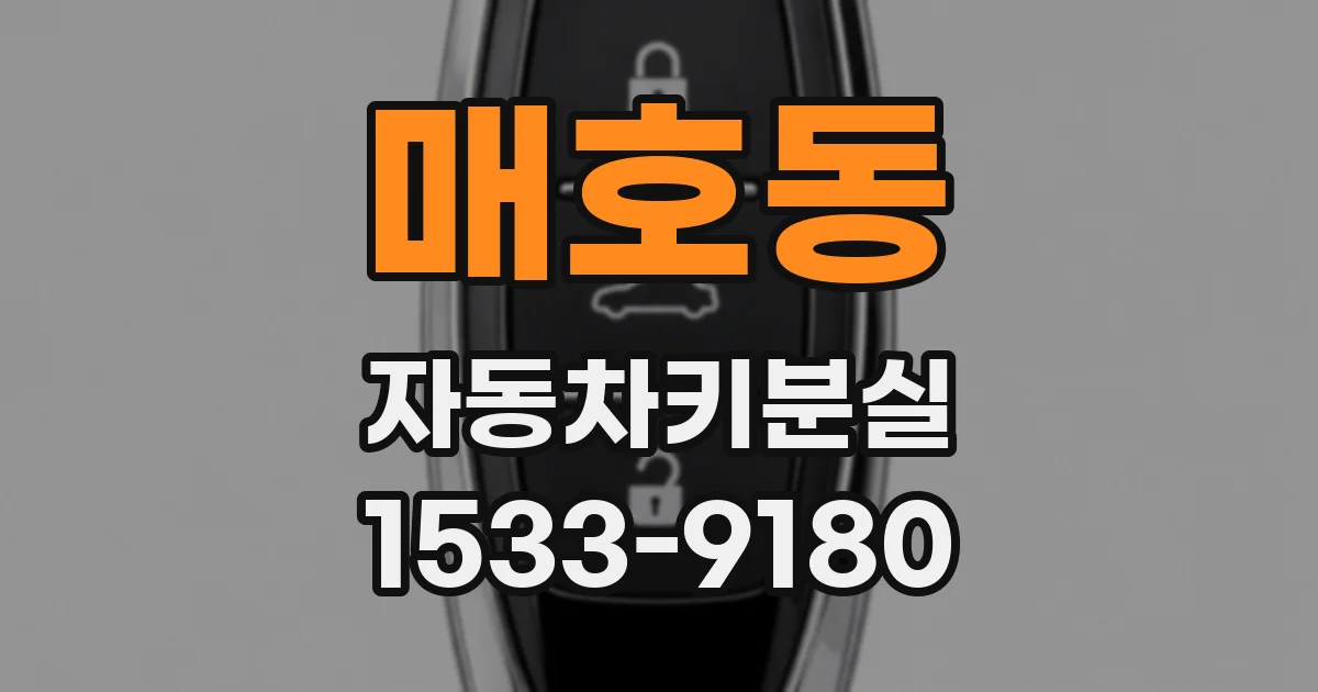 매호동 자동차키분실