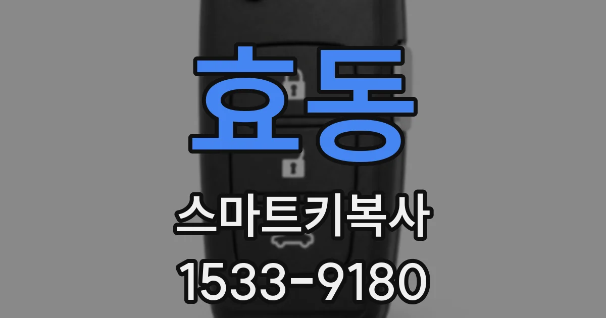 효동 스마트키복사