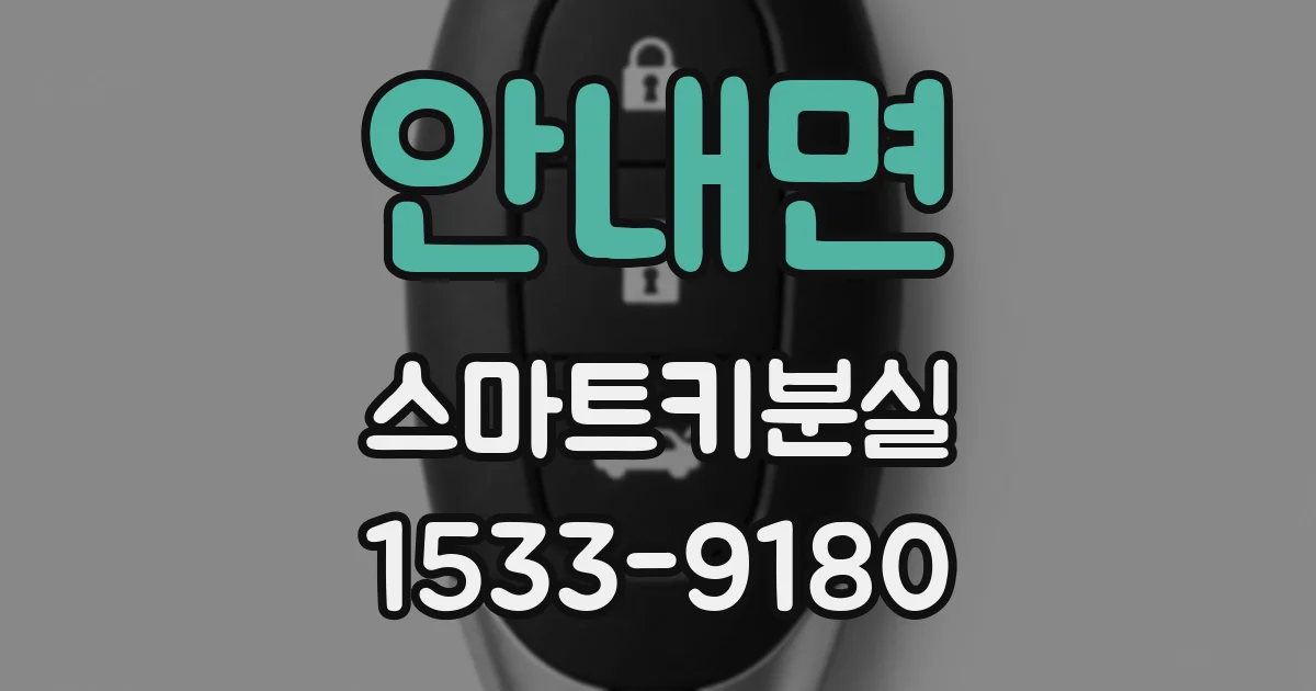 안내면 스마트키분실