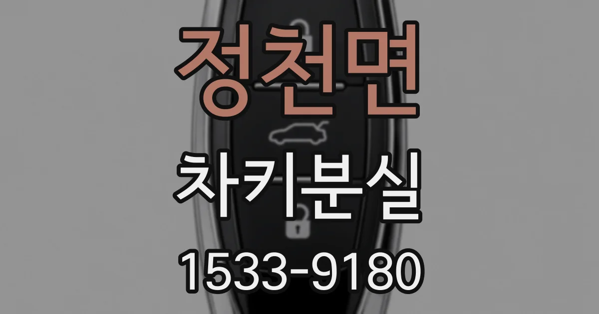 정천면 차키분실