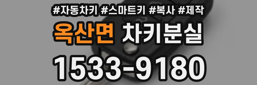 옥산면 차키분실