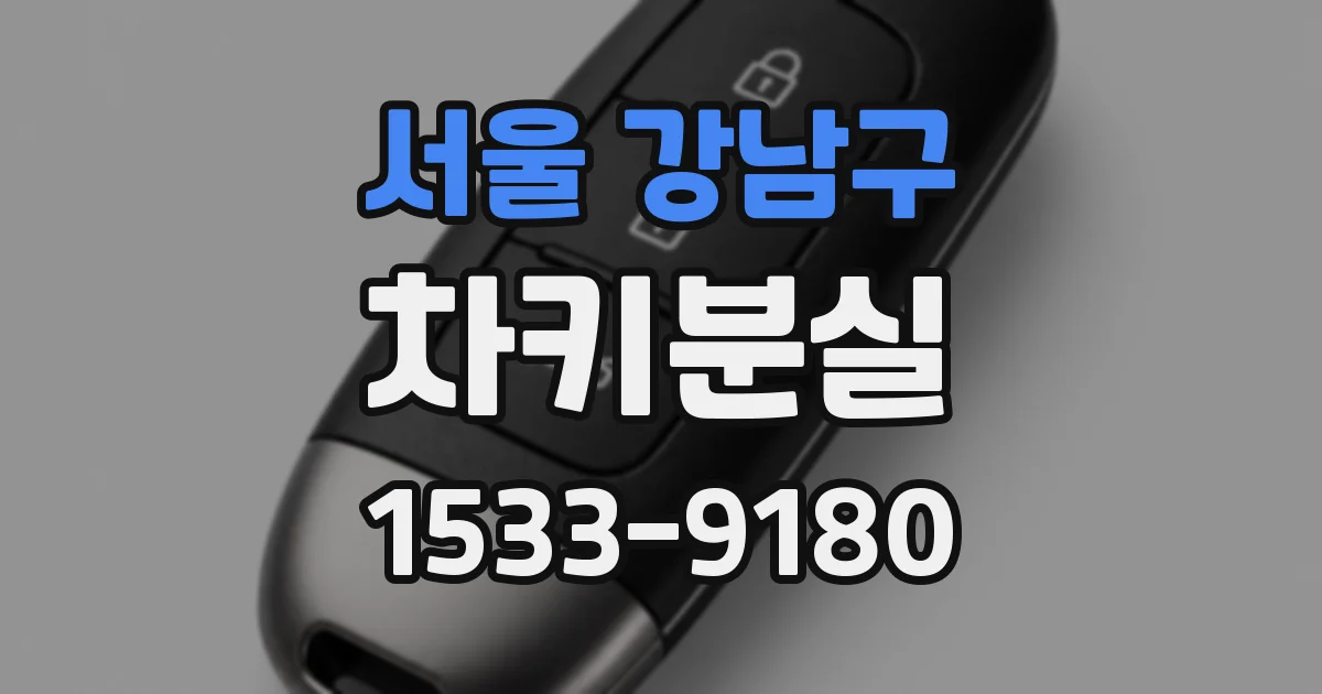 서울 강남구 차키분실