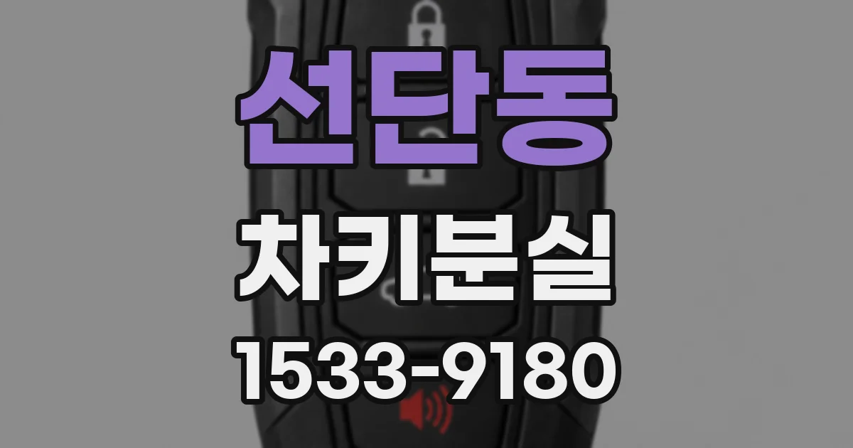 선단동 차키분실