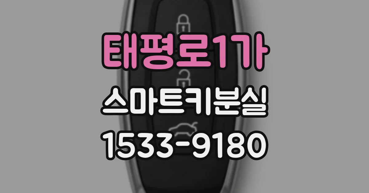 태평로1가 스마트키분실