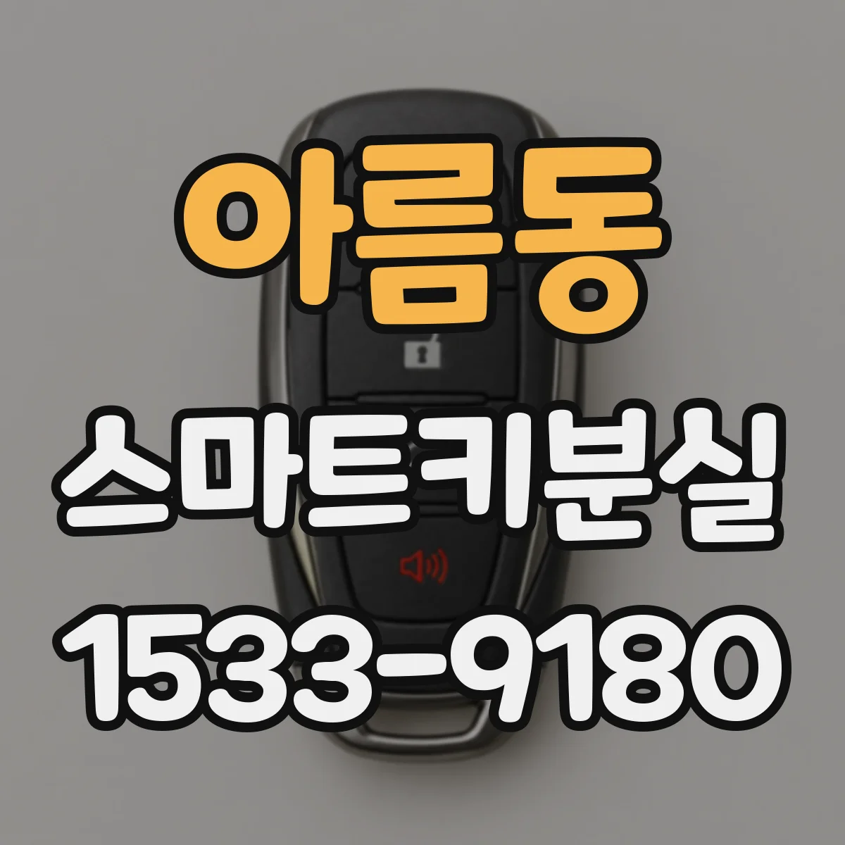 아름동 스마트키분실