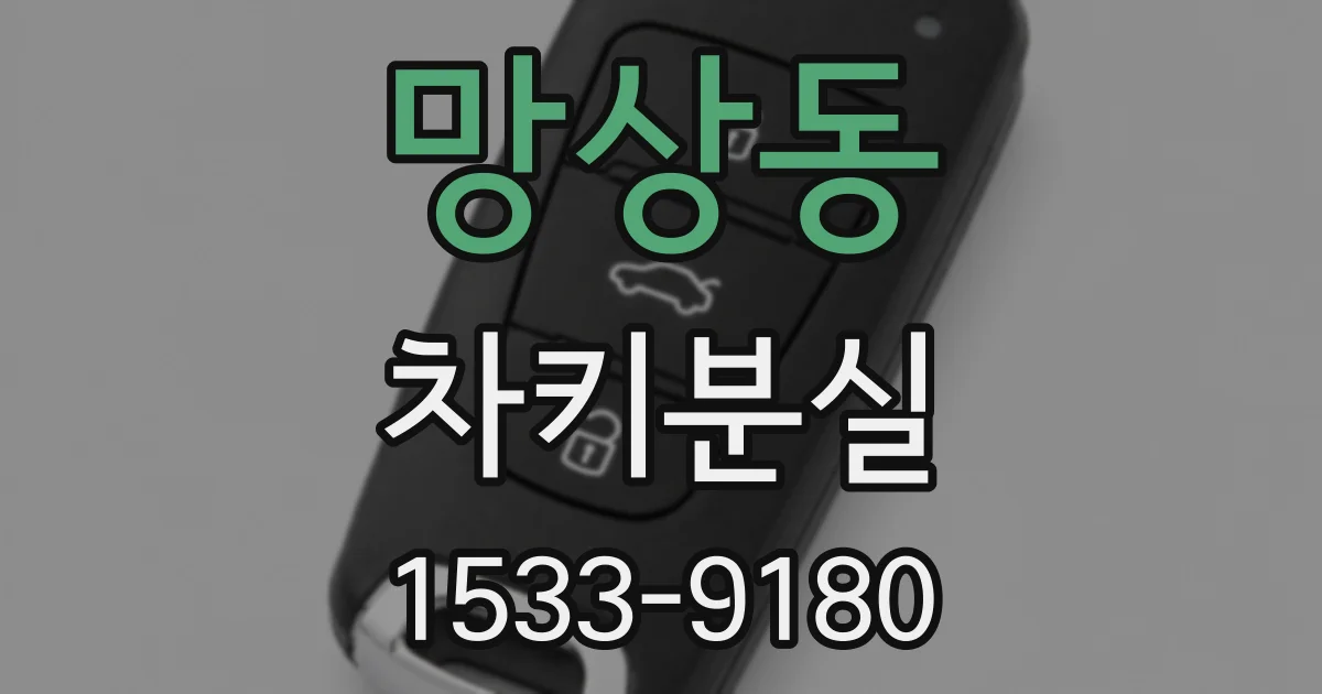망상동 차키분실