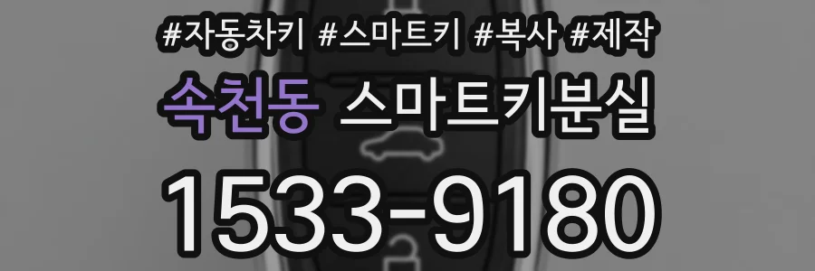 속천동 스마트키분실