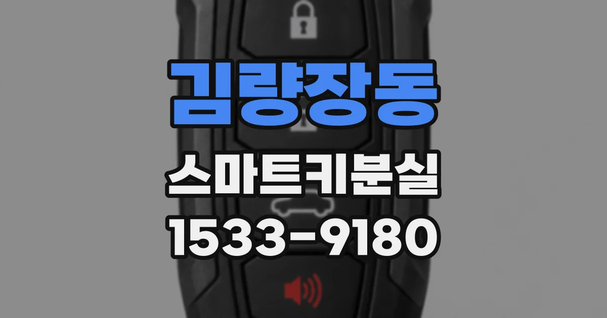 김량장동 스마트키분실