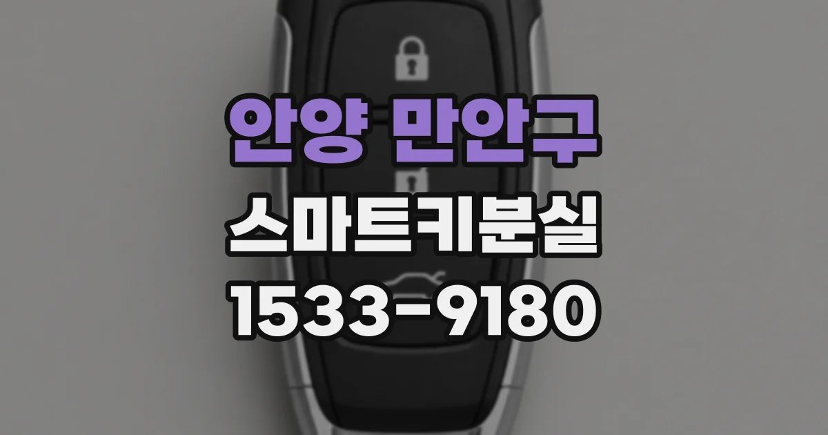 안양 만안구 스마트키분실